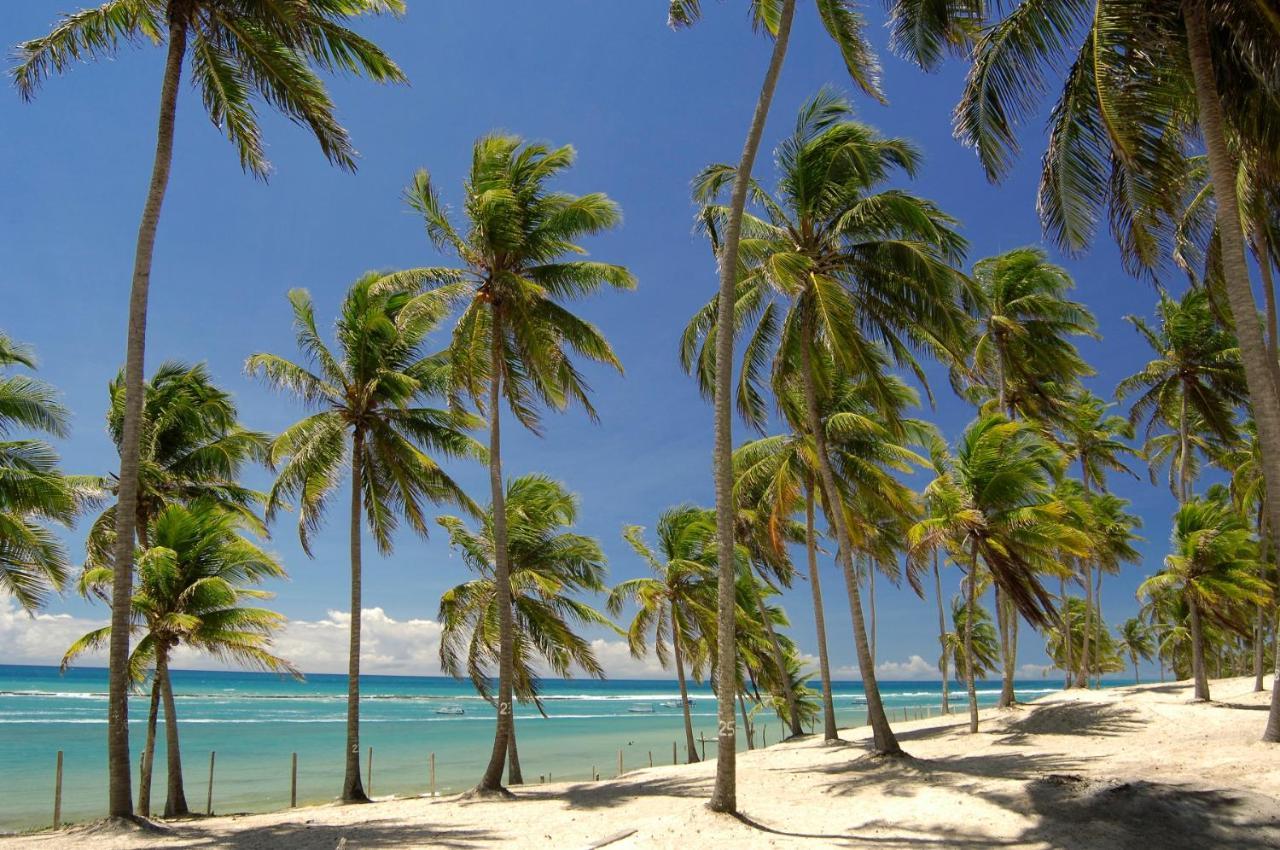 Ubud Do Frances * Praia do Frances
